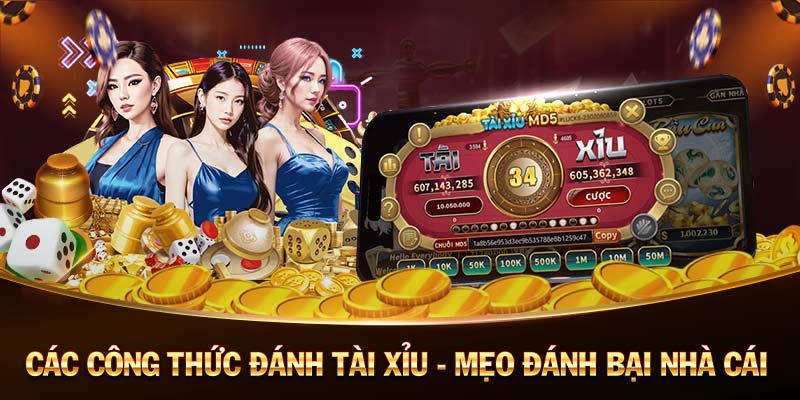 tha ku casino xem đá gà trực tiếp casino 🎰 tha ku casino xem đá gà trực tiếp casino 🎰